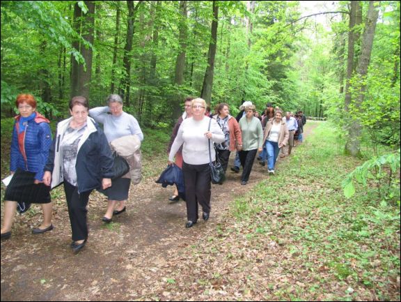 Gmina Łuków - foto