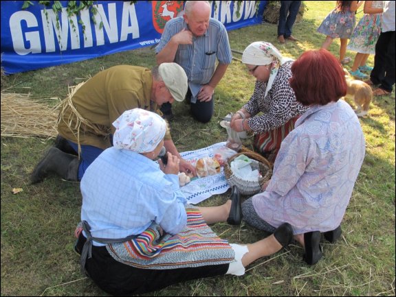 Gmina Łuków - grafika