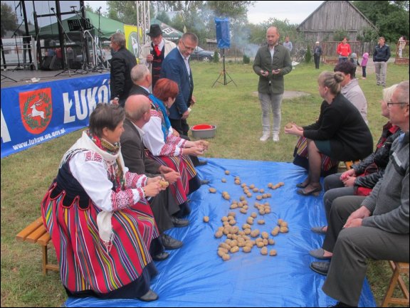 Gmina Łuków - grafika