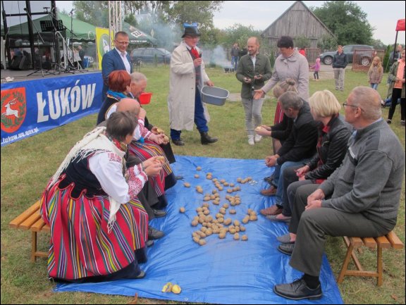 Gmina Łuków - grafika