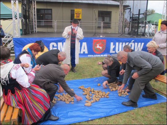 Gmina Łuków - grafika