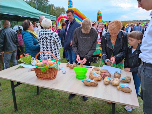 Gmina Łuków - grafika